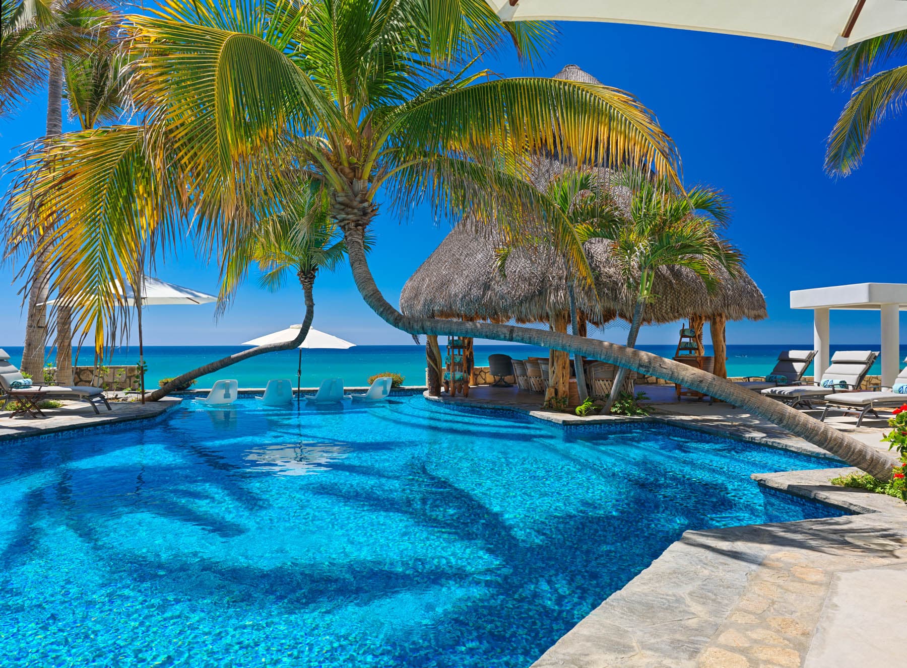 Shared resort pool and landscaped community amenity in Baja California Sur